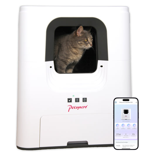 CleanMe WiFi