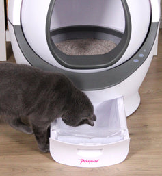 CleanMe