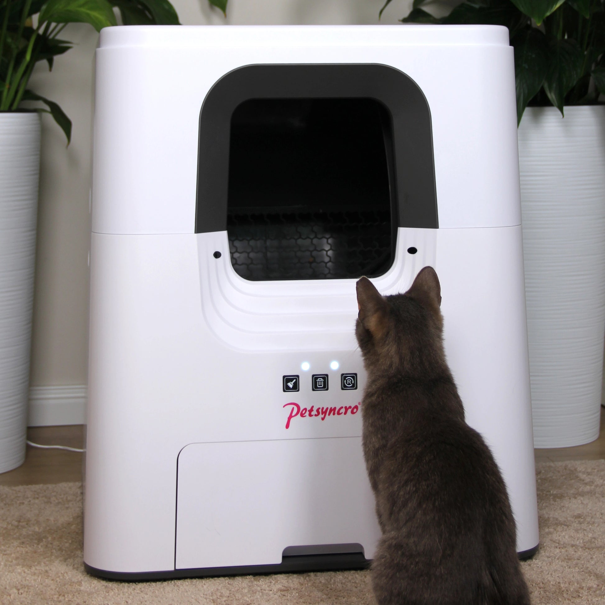 CleanMe WiFi