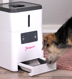 FeedMe WiFi für Hunde