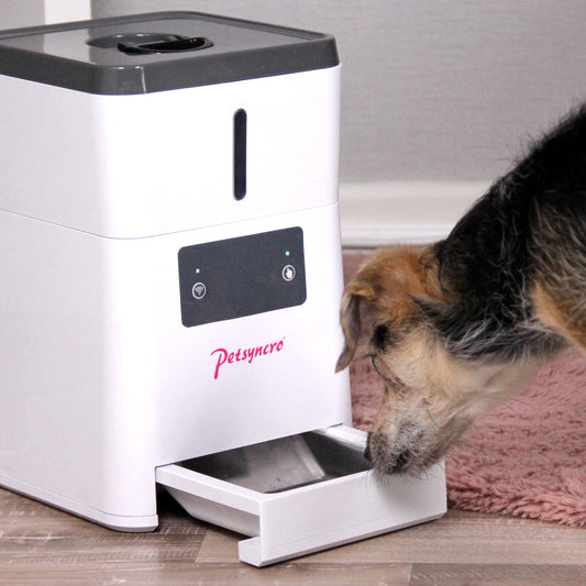 FeedMe WiFi für Hunde