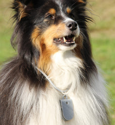 HearMe Clicker