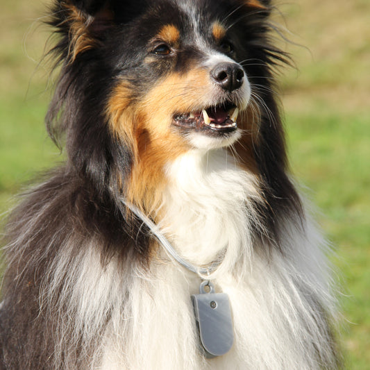 HearMe Clicker