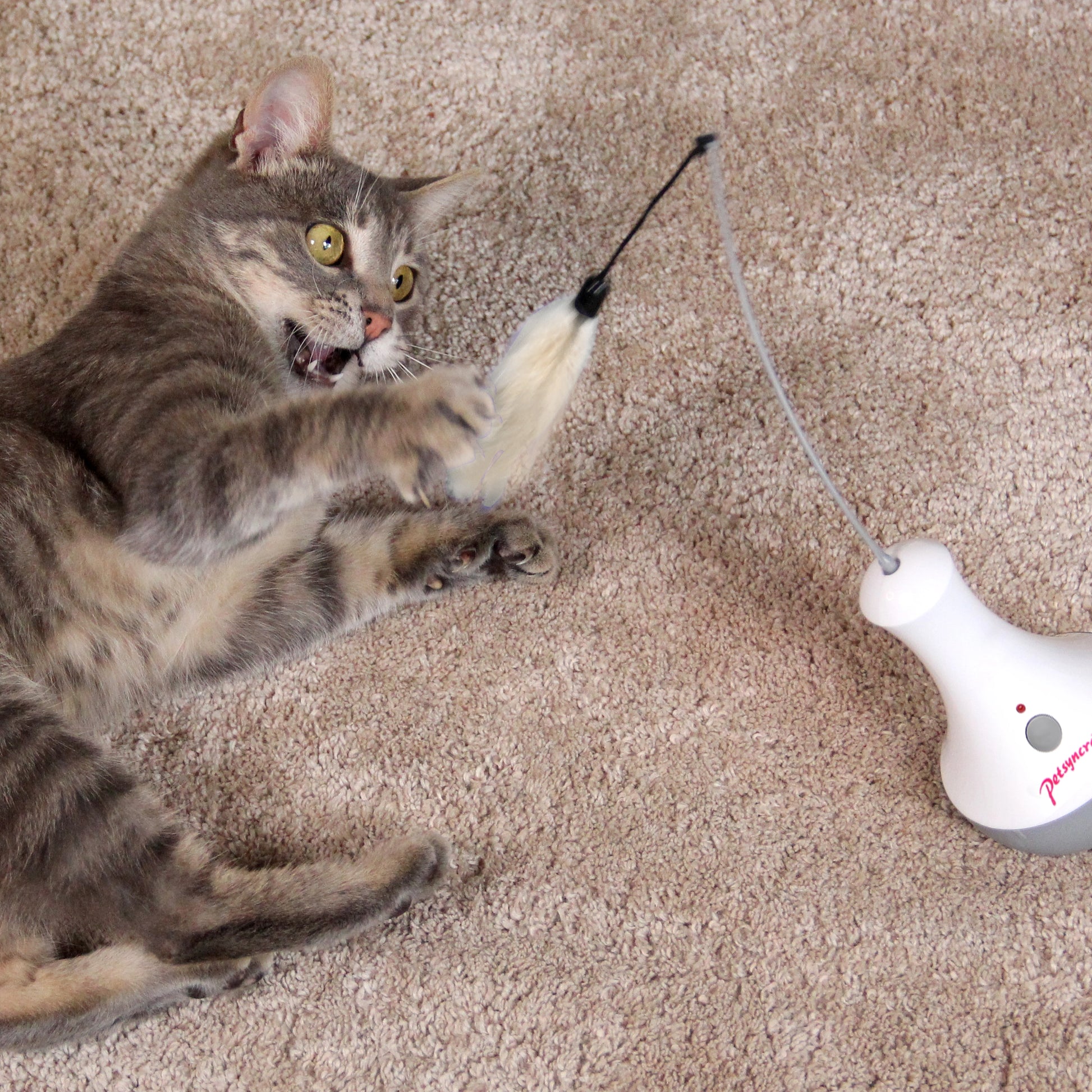 PlayMe Feather