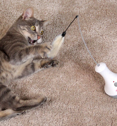PlayMe Feather