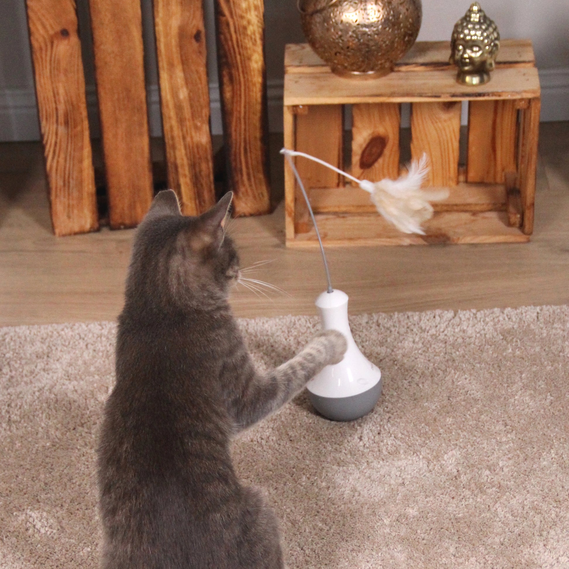 PlayMe Feather