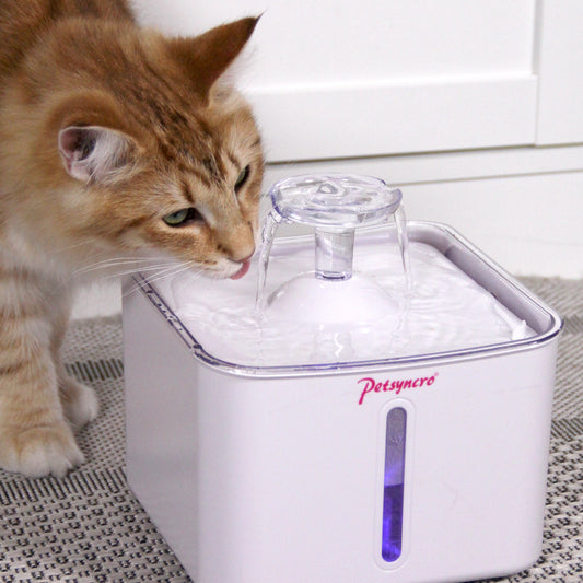 RefreshMe für Katzen